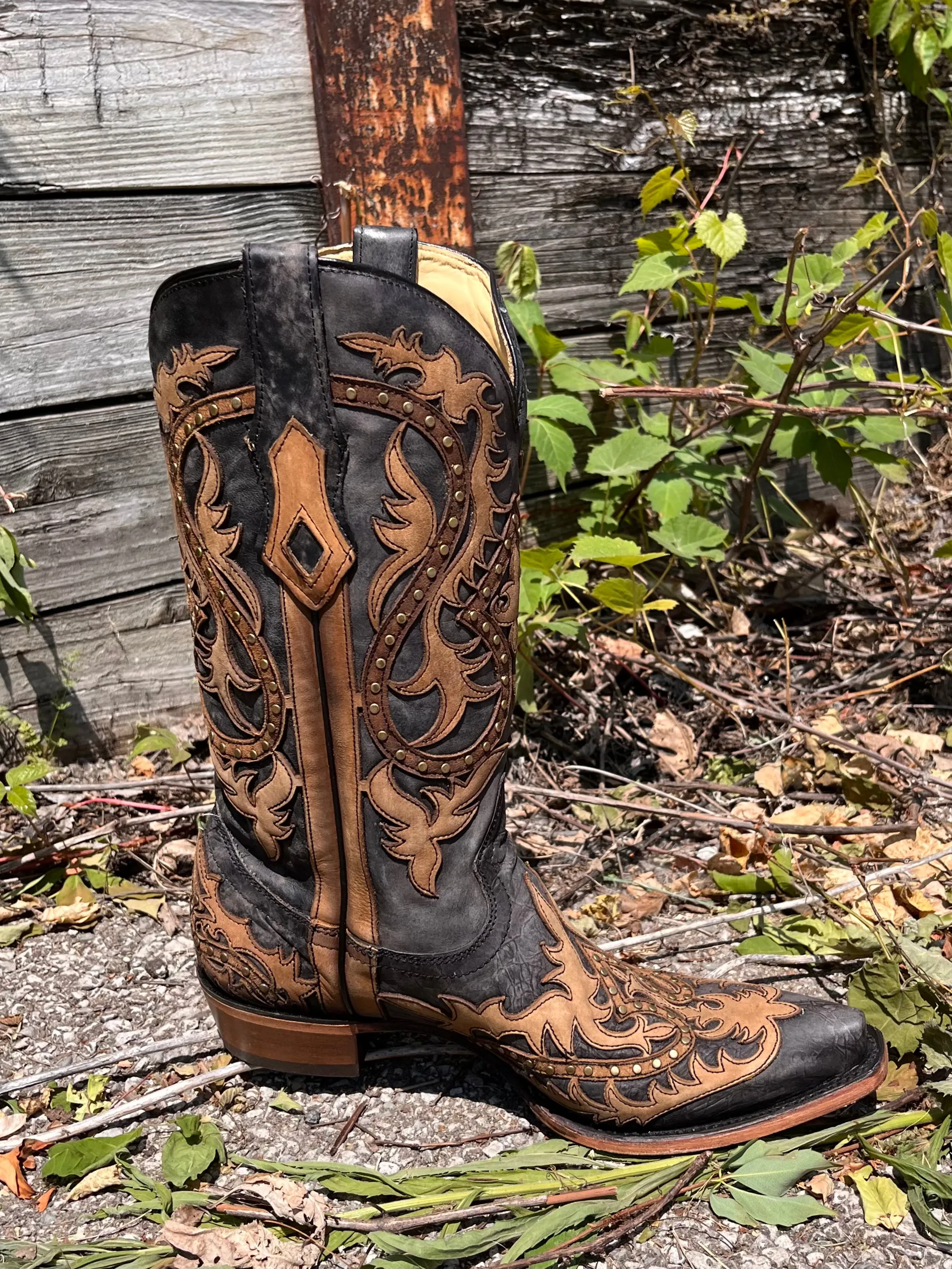 Corral Men's Black & Honey Overlay Snip Toe Cowboy Boots C3989