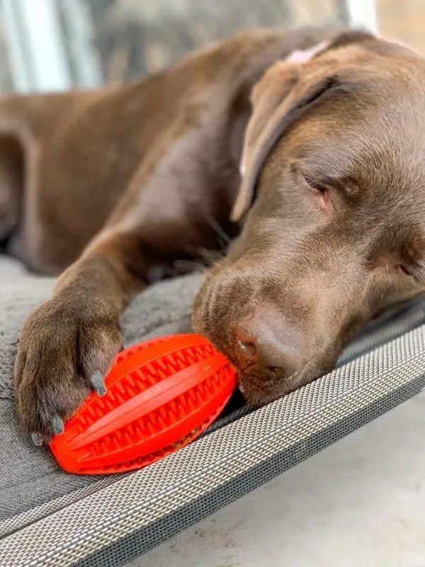 Enrichment Treat Football