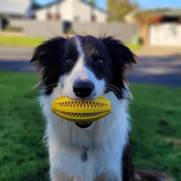 Enrichment Treat Football