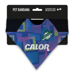 Hibernian GK 1996 Pet Bandana