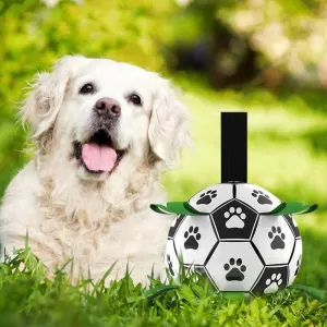 Interactive Pet Football Toy