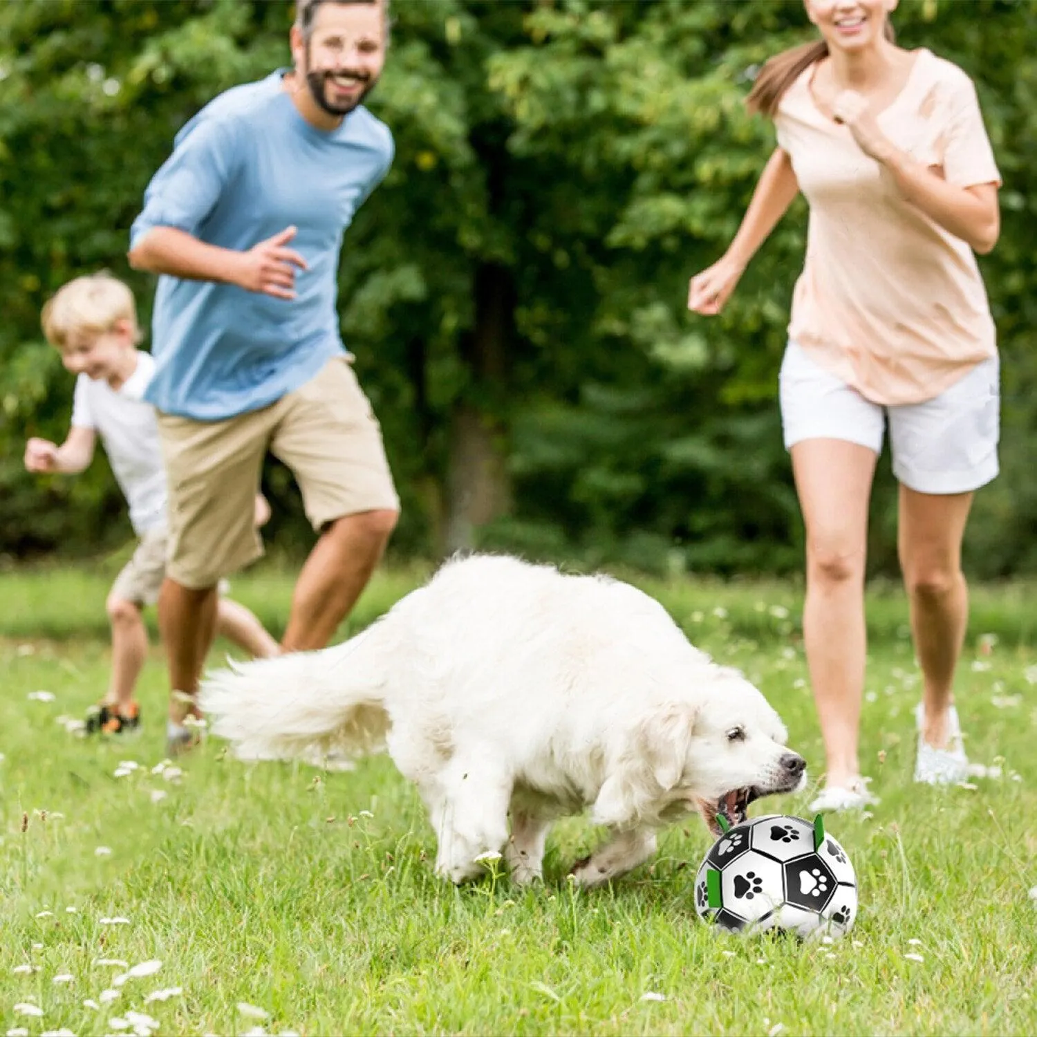 Interactive Pet Football Toy