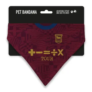 Ipswich Town 24/25 Away Pet Bandana