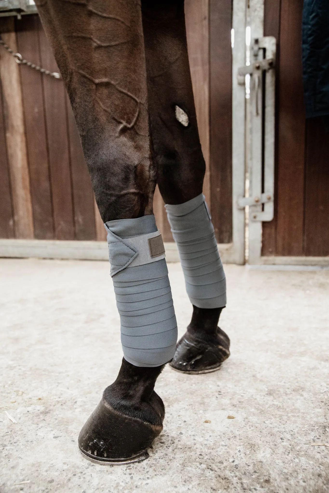 Kentucky Horsewear Repellent Working Bandages - Set 2