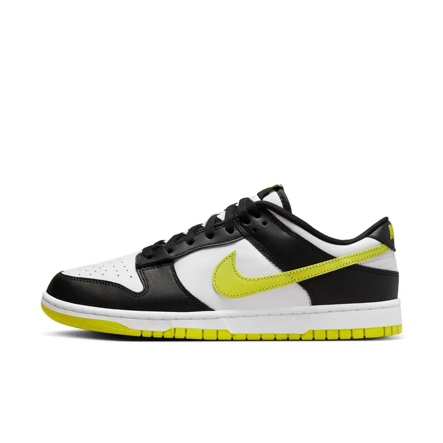 M Nike Dunk Low Retro DV0833-110