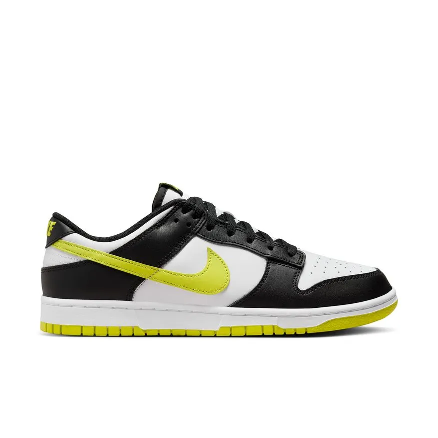 M Nike Dunk Low Retro DV0833-110