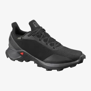 Men's Salomon Alphacross GTX