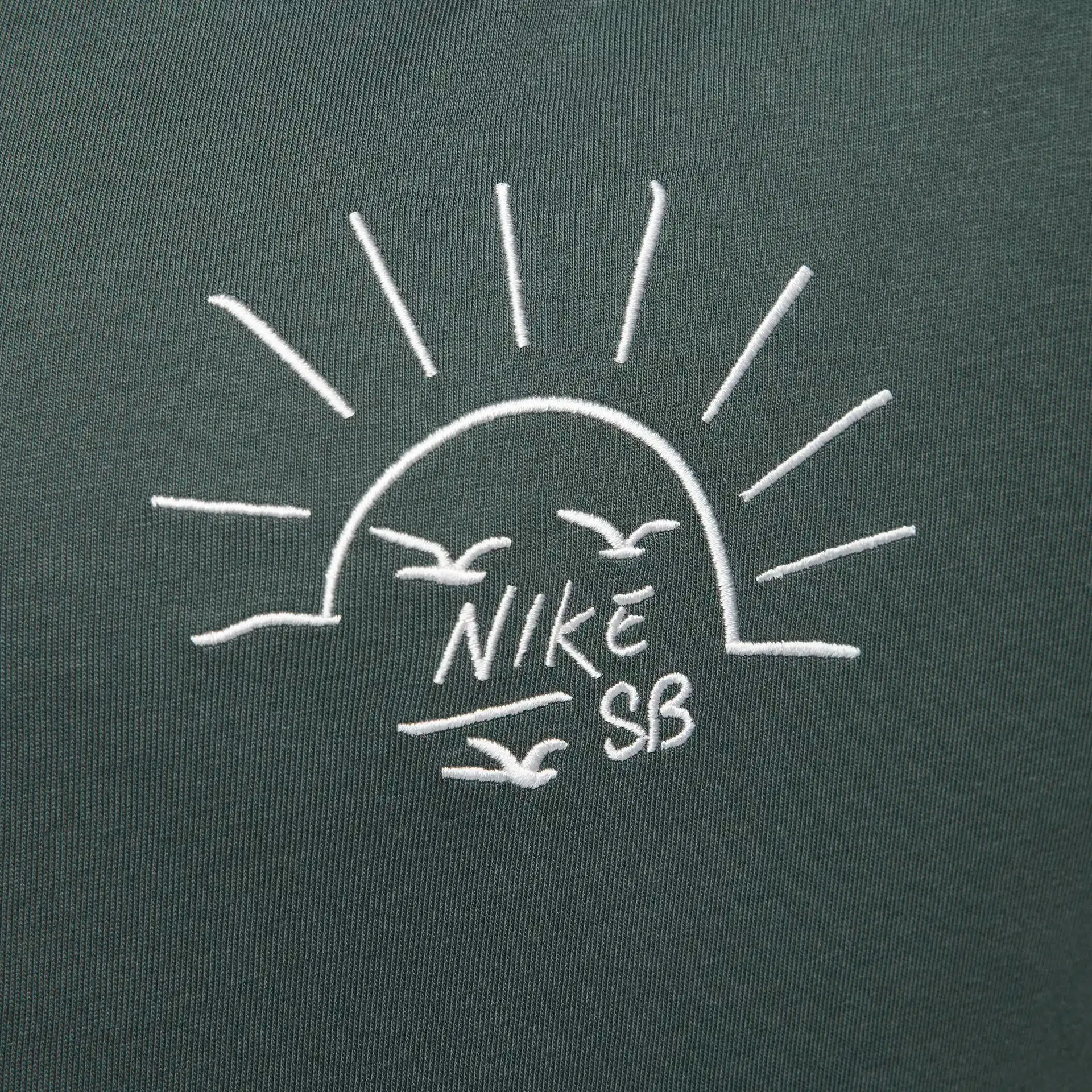 Nike SB Train Moniker Max90 Skate Tee