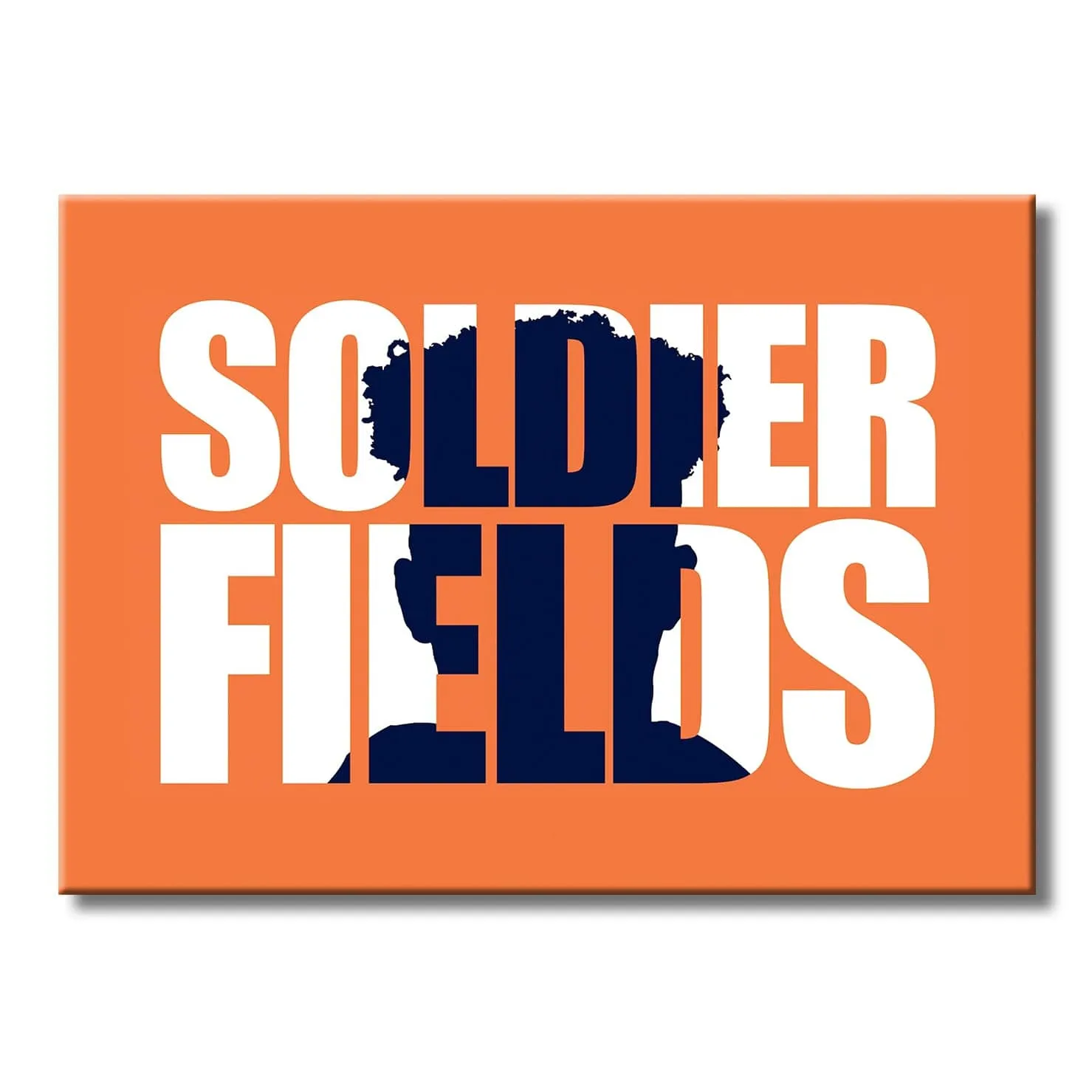 Soldier Fields - Fantasy Football Metal Wall Art